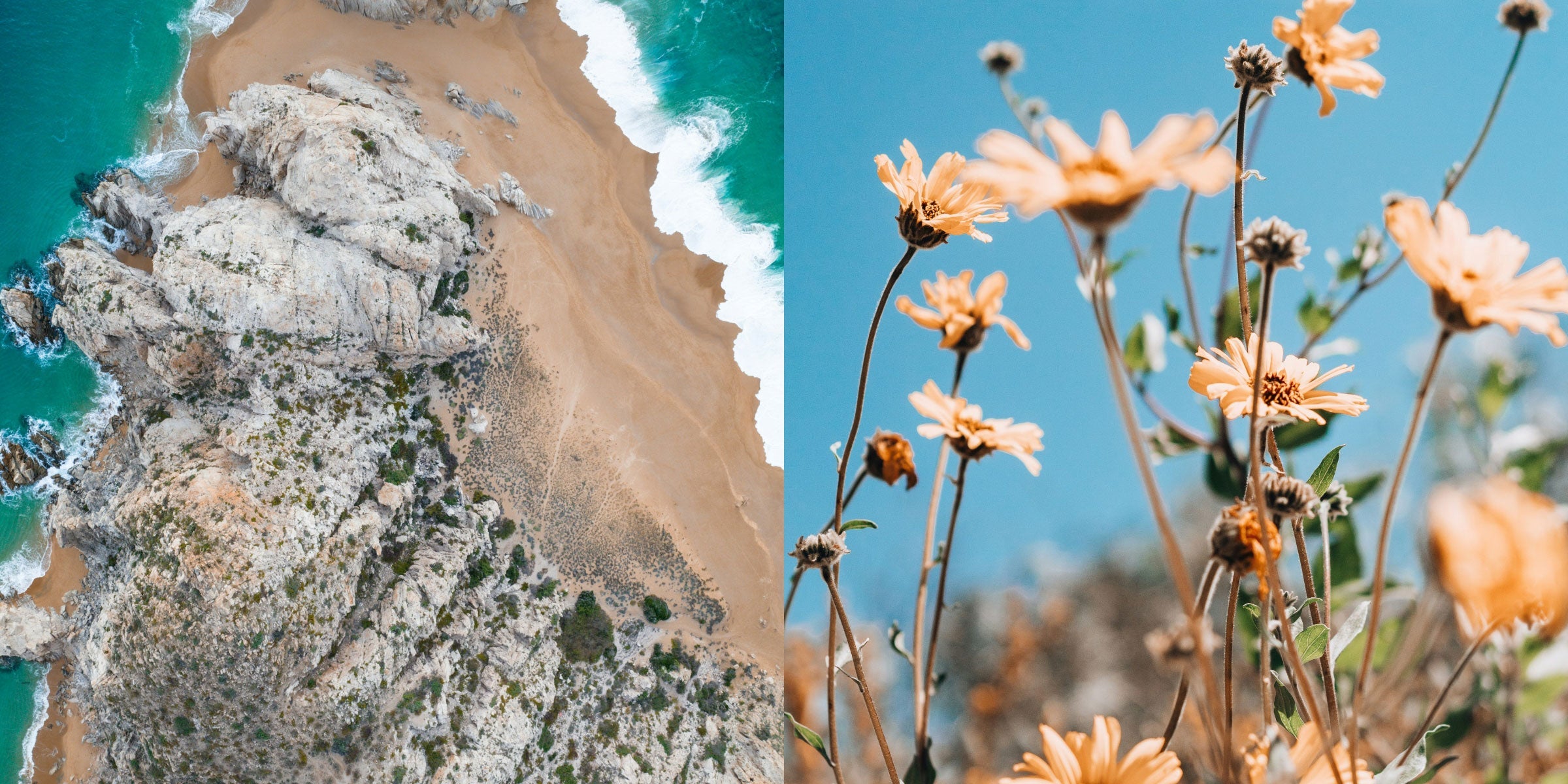 See Spring Like Never Before